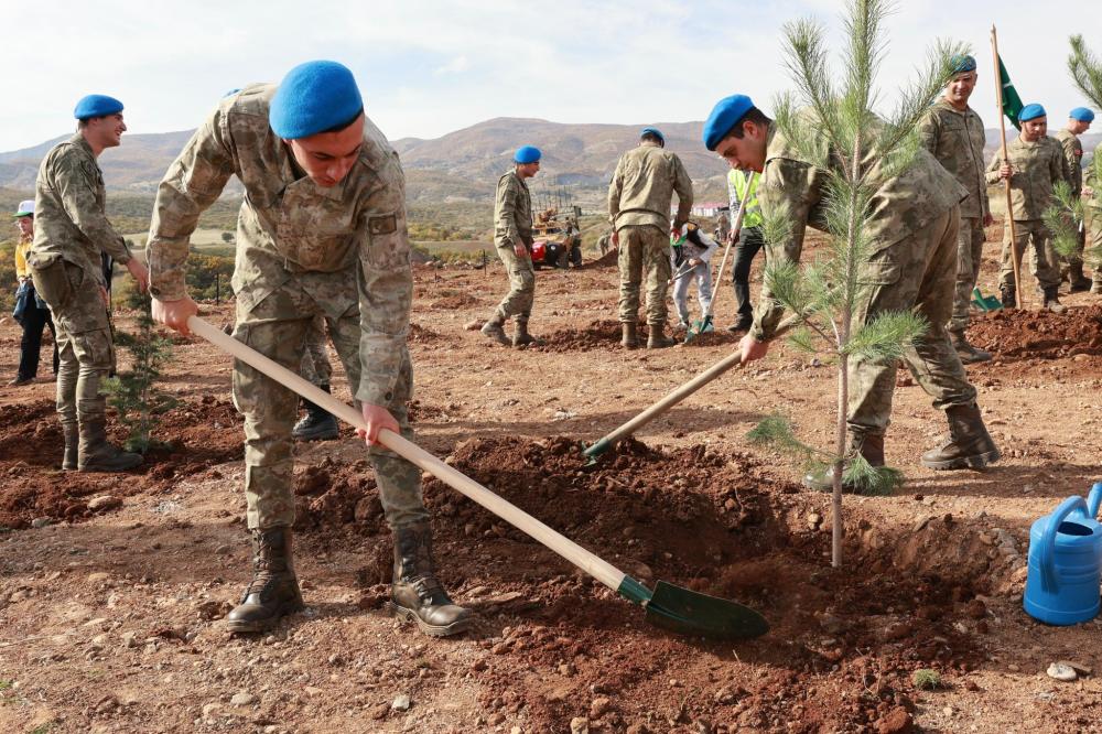 BİNGÖL'DE MEHMETÇİK HATIRA ORMANI OLUŞTURULDU