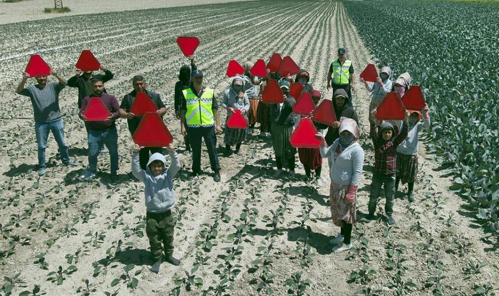 TARLADA KIRMIZI IŞIKLI REFLEKTÖRLER ÇİCEK AÇTI