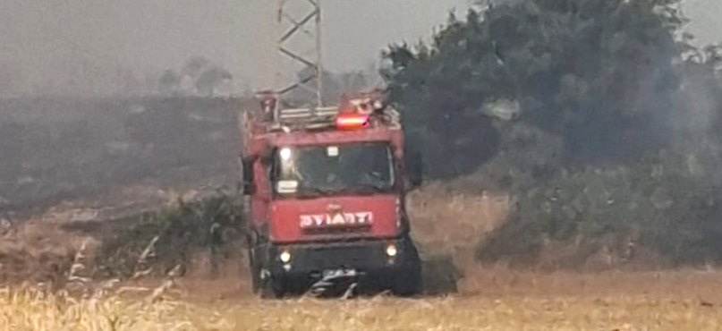 BAYIRKÖY'DEKİ YANGINDA BUĞDAY TARLASI UYANDI