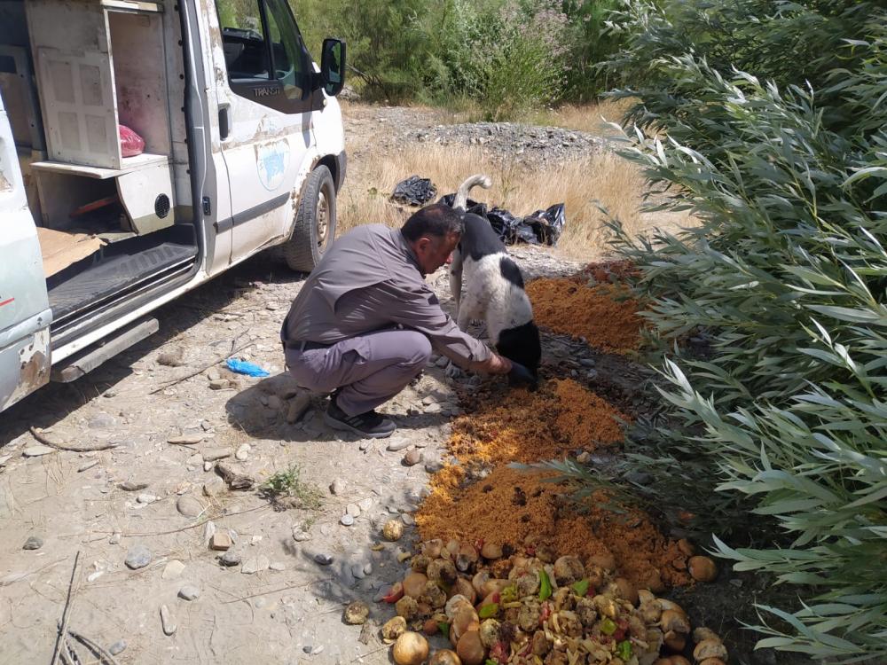 Belediye ekipleri can dostların imdadına yetişti