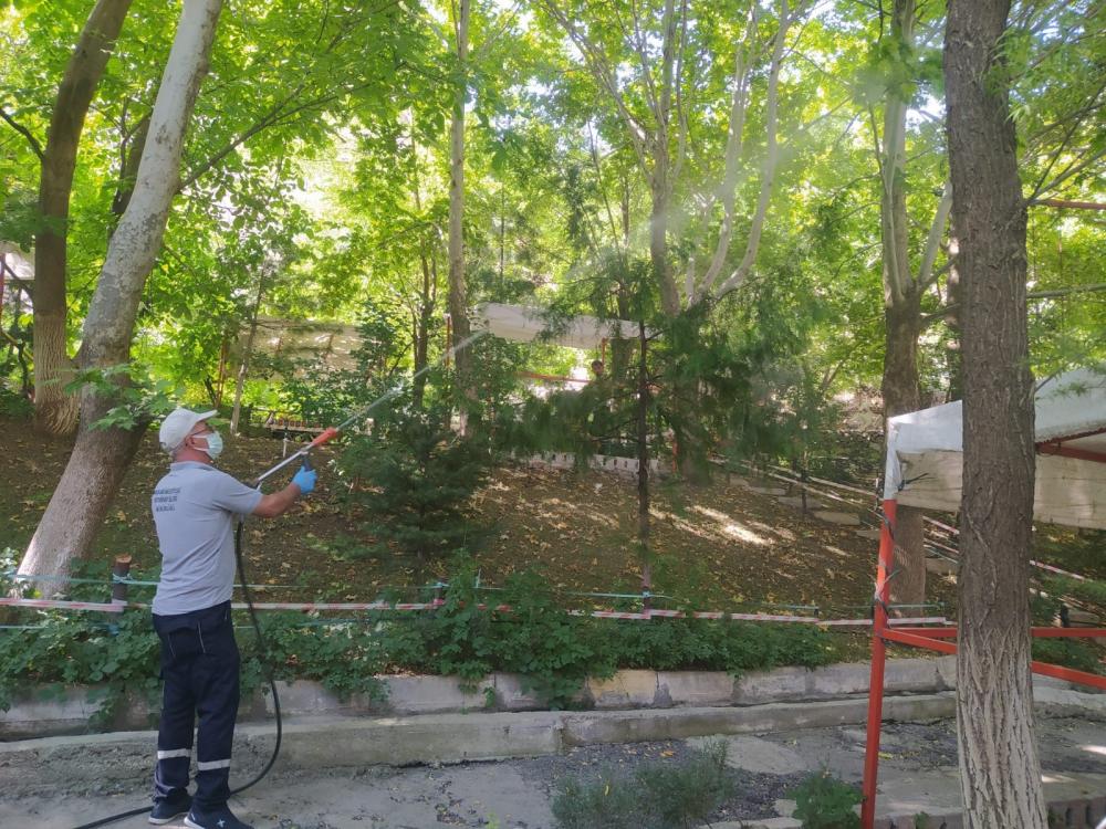 HAKKARİ'DE HAŞERE İLE MÜCADELE DEVAM EDİYOR