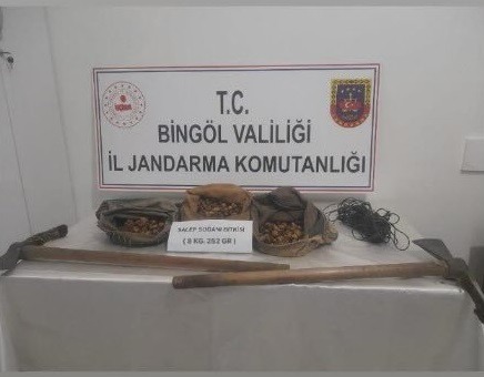 Bingöl'de 8 Kilo 250 Gram Yasadışı Salep Soğanı Ele Geçirdi