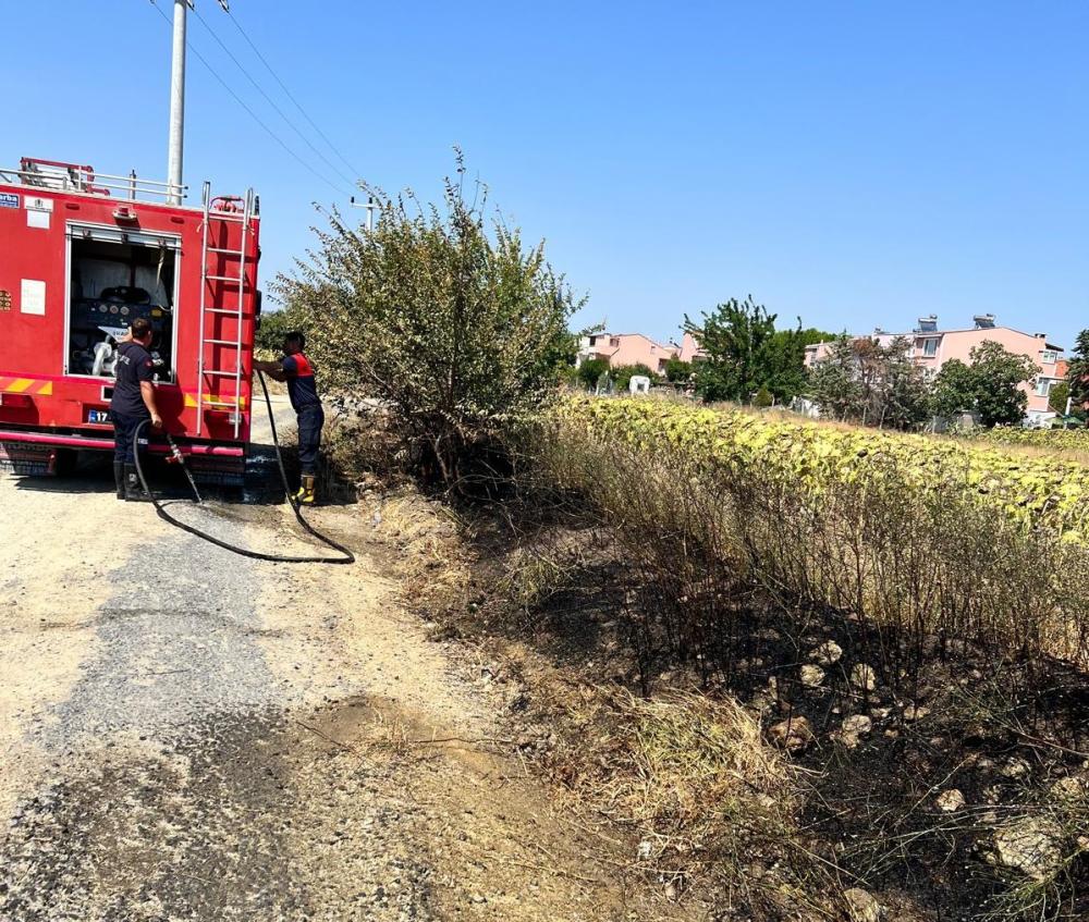 Otların tutuşmasıyla başlayan  yangın, yazlıklara ulaşmadan söndürüldü