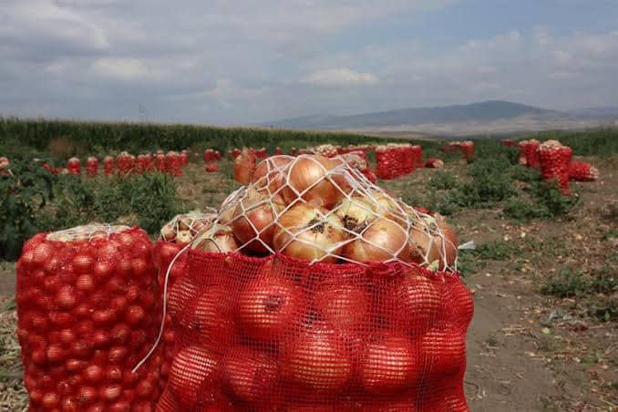 MİHALIÇÇIK’TA TARIM SEZONU SONA ERDİ