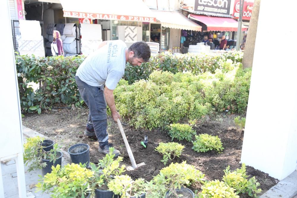 ÇİĞLİ’DE YEŞİL ALANLAR ARTIYOR: AĞAÇ DİKİMİ VE PEYZAJ DÜZENLEMELERİ HIZ KESMİYOR