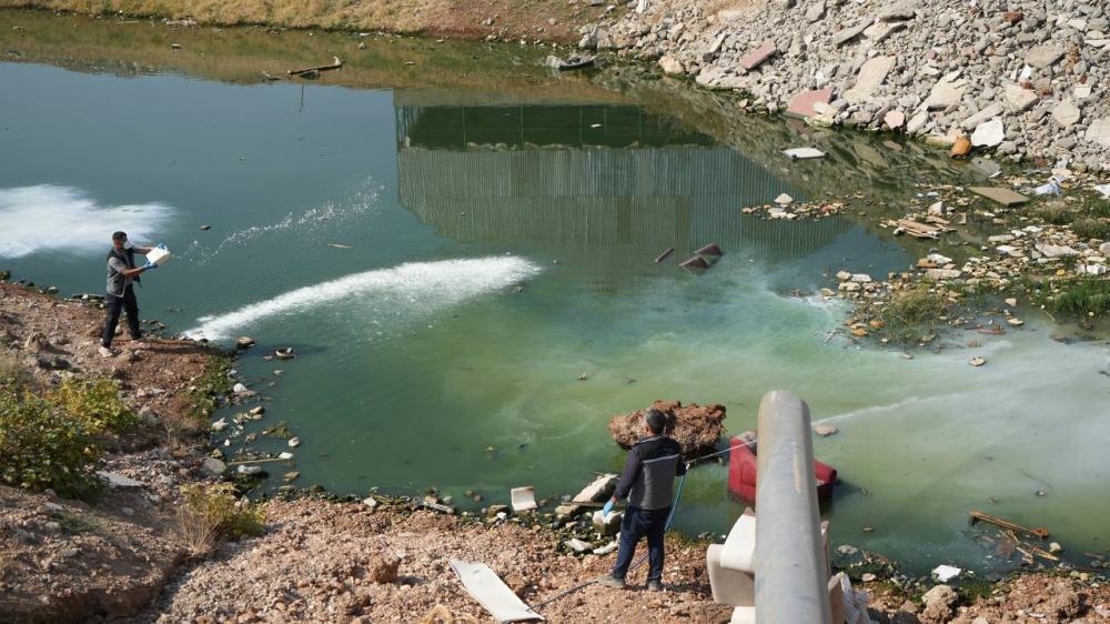 ADIYAMAN’DA HAŞEREYLE MÜCADELE: LARVA İLAÇLAMA ÇALIŞMALARI SÜRÜYOR