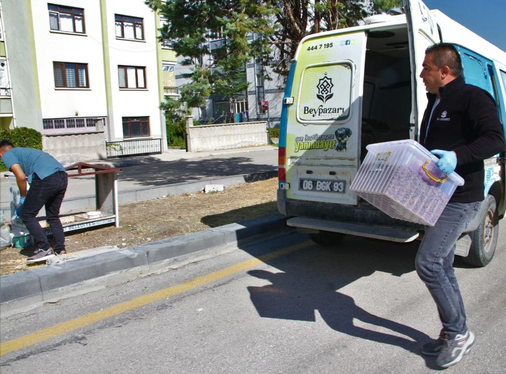 BEYPAZARI BELEDİYESİ’NDEN SOKAK HAYVANLARI İÇİN KULÜBE VE MAMA DESTEĞİ