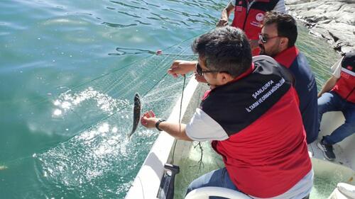 ŞANLIURFA DAHİL 7 İL'DE BALIKÇILIK DENETİMİ! KURALLARA UYMAYANA CEZA YAĞDI