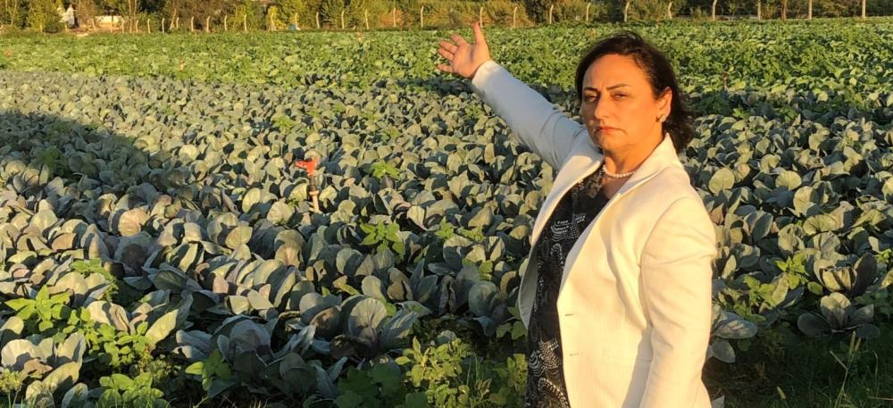 CHP’Lİ ŞEVKİN’DEN KURAKLIK VE TARIM UYARISI: “ÇİFTÇİ YIKILDI, HAYVANCILIK BİTİYOR”