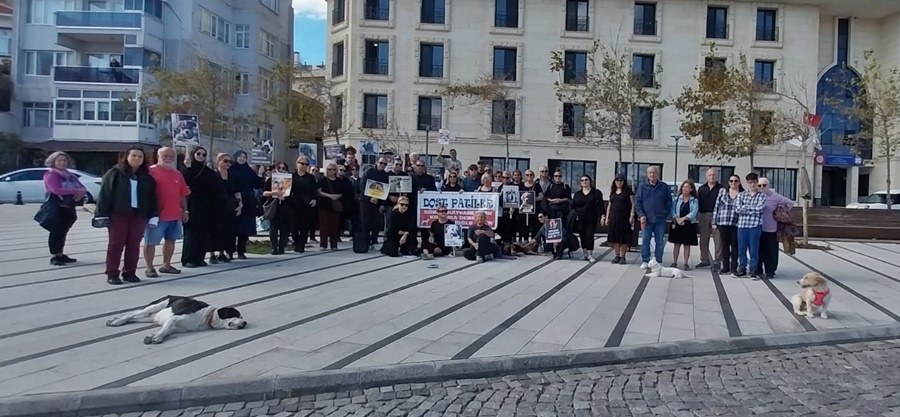 GELİBOLU’DAKİ HAYVAN SEVERLERDEN AÇIKLAMA “BUGÜN KUTLAMA GÜNÜ DEĞİL, YAS GÜNÜDÜR“