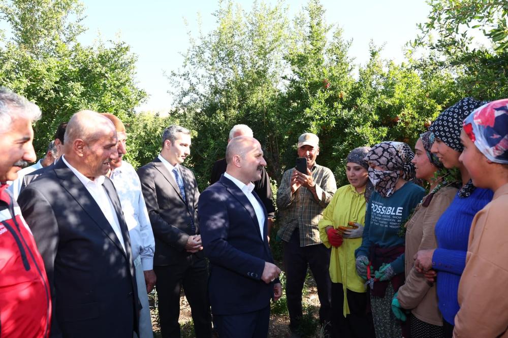 SAMSAT GÖLTARLA KÖYÜ\'NDE NAR HASADI BAŞLADI