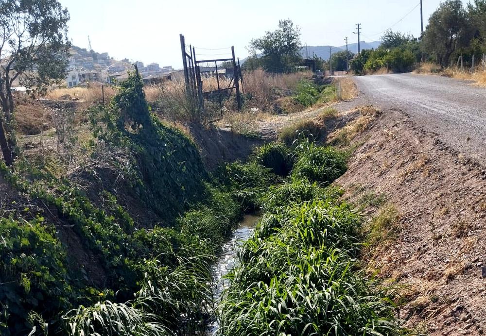 GEDİZ NEHRİ İÇİN İMZA KAMPANYASI